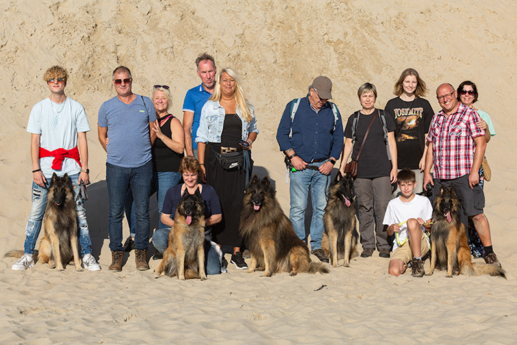 Wandeling Zoutelanden